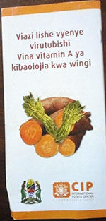 坦桑尼亚的红薯宣传册图片
