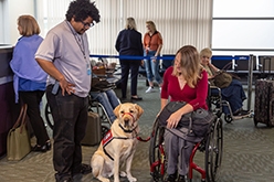 形象的女人坐在轮椅上的导盲犬在机场