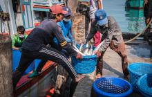 Men working on fishing boats