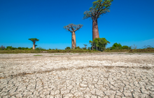 马达加斯加的干旱